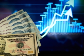 Dolar/TL Haftaya Rekorla Başlayarak 49,1630 Seviyesini Gördü