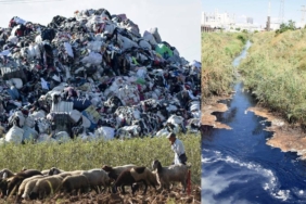 Avrupa'dan İthal Edilen Plastik Atıklar Akdeniz Kıyılarını ve Tarım Alanlarını Tehdit Ediyor