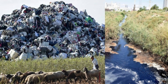 Avrupa’dan İthal Edilen Plastik Atıklar Akdeniz Kıyılarını ve Tarım Alanlarını Tehdit Ediyor